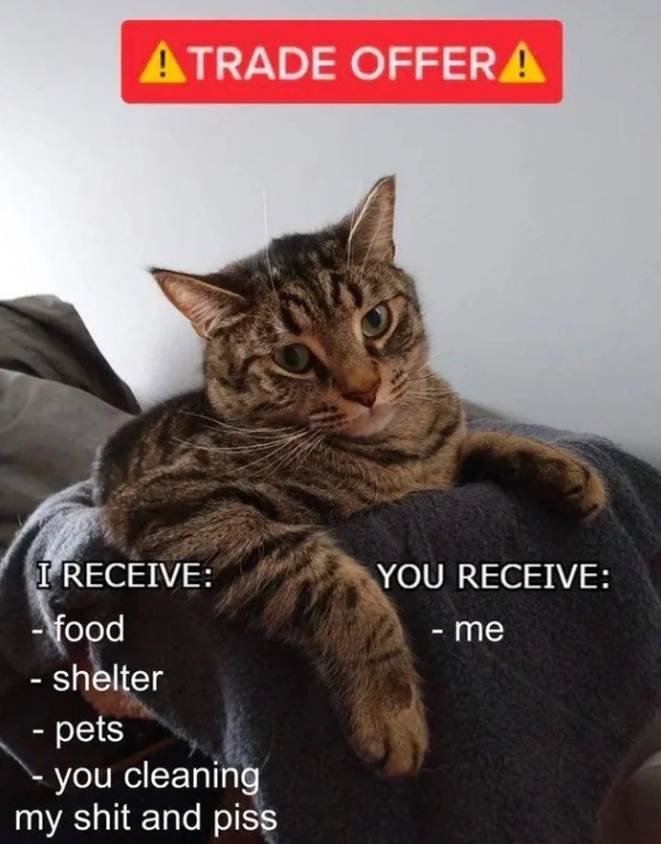 https://upforme.ru/uploads/001b/df/32/209/563268.jpg