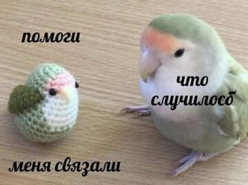 https://upforme.ru/uploads/001b/df/32/212/t184776.jpg