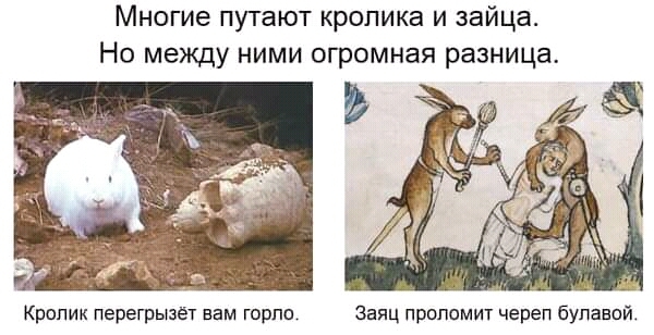 https://upforme.ru/uploads/001b/df/32/253/419117.jpg