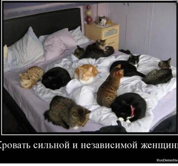 https://upforme.ru/uploads/001b/df/9c/2/t161353.jpg