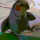 https://upforme.ru/uploads/001b/e1/05/2/995600.gif