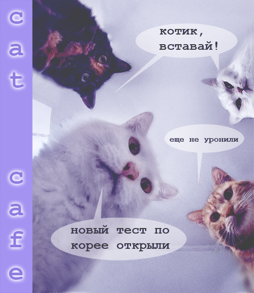 https://upforme.ru/uploads/001b/e2/b0/6/917767.png