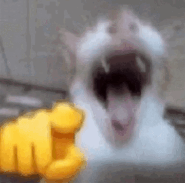 https://upforme.ru/uploads/001b/e3/5c/2/t500773.gif
