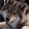 https://upforme.ru/uploads/001b/e3/a1/20/201495.gif