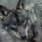 https://upforme.ru/uploads/001b/e3/a1/6/908244.gif