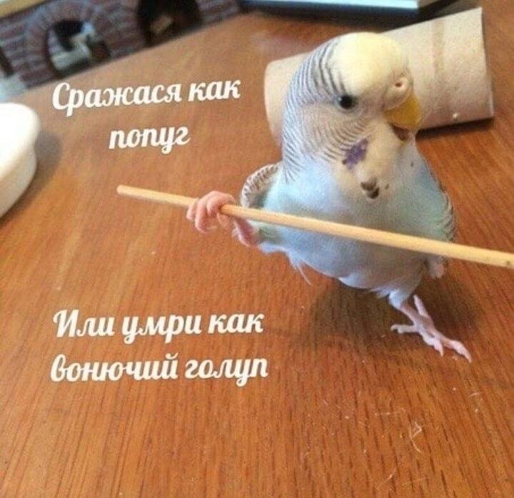 https://upforme.ru/uploads/001b/e4/16/15/790537.jpg