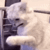 https://upforme.ru/uploads/001b/e4/16/3/t358573.gif