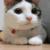 https://upforme.ru/uploads/001b/e4/16/3/t714509.gif