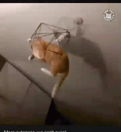 https://upforme.ru/uploads/001b/e4/17/2/t97226.gif