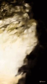 https://upforme.ru/uploads/001b/e4/17/52/t922347.gif