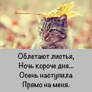 https://upforme.ru/uploads/001b/e5/71/2/973302.jpg