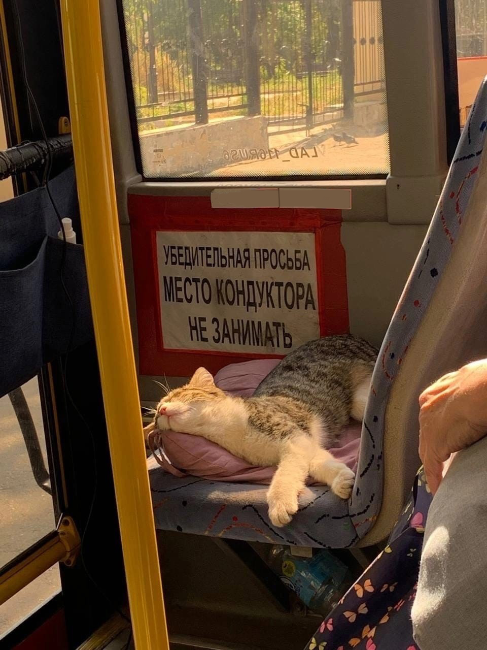 https://upforme.ru/uploads/001b/e5/71/3/131698.jpg
