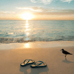 https://upforme.ru/uploads/001b/e5/71/3/146429.gif
