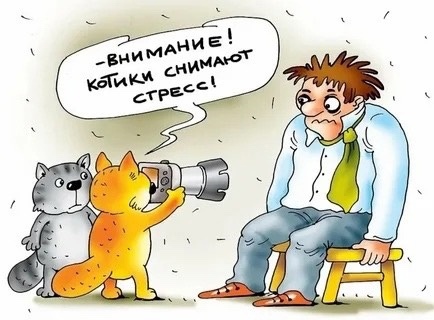 https://upforme.ru/uploads/001b/e5/71/3/150322.jpg