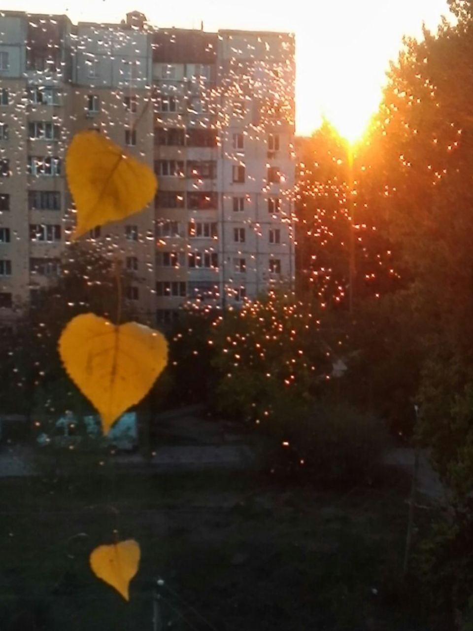 https://upforme.ru/uploads/001b/e5/71/3/155044.jpg