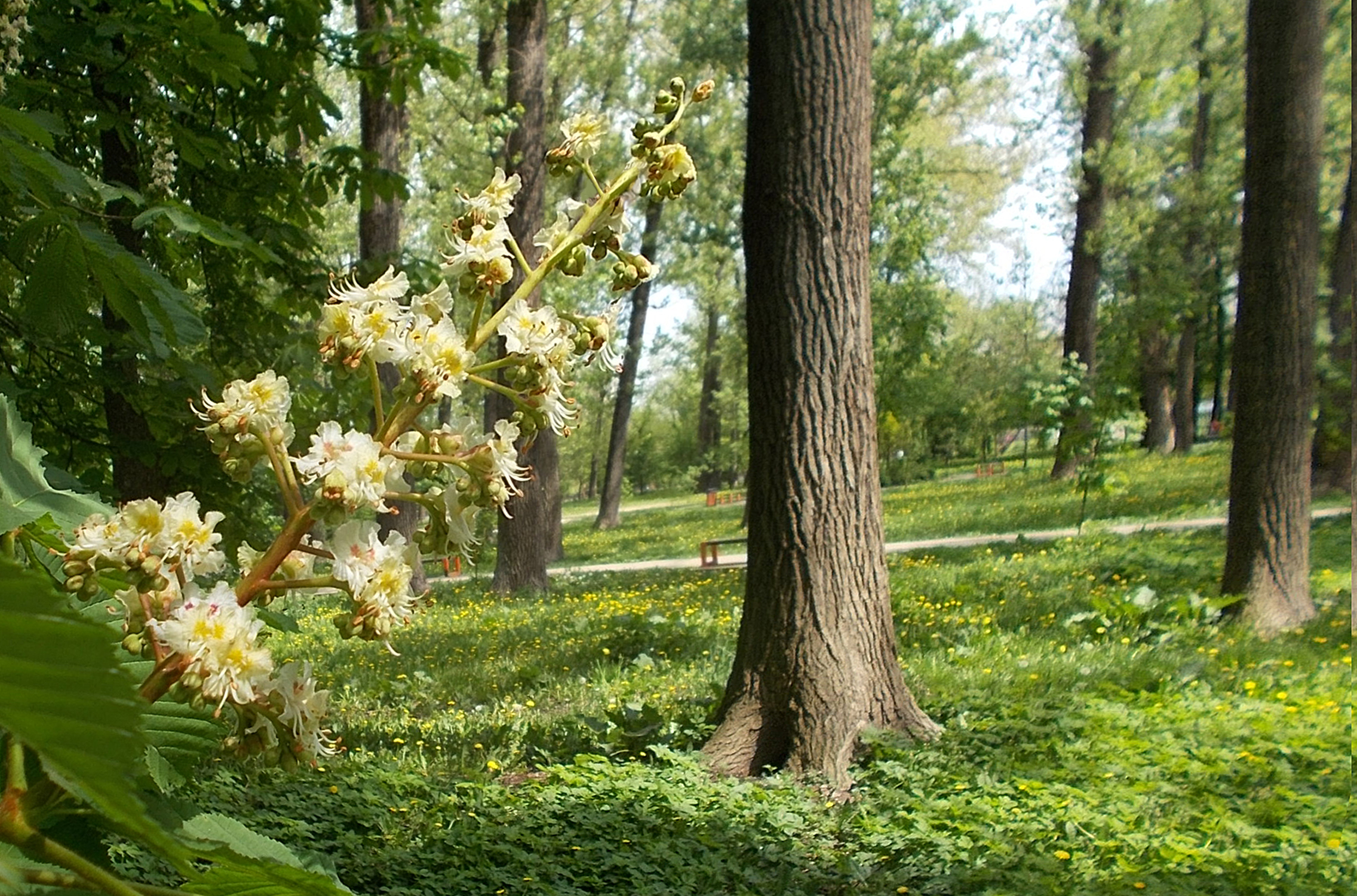 https://upforme.ru/uploads/001b/e5/71/3/174469.jpg