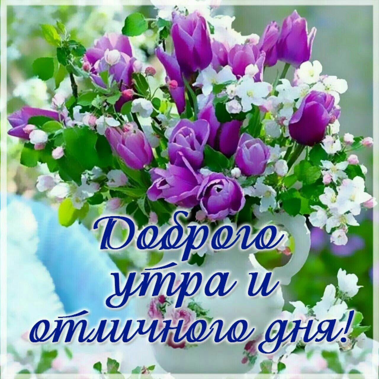 https://upforme.ru/uploads/001b/e5/71/3/186804.jpg