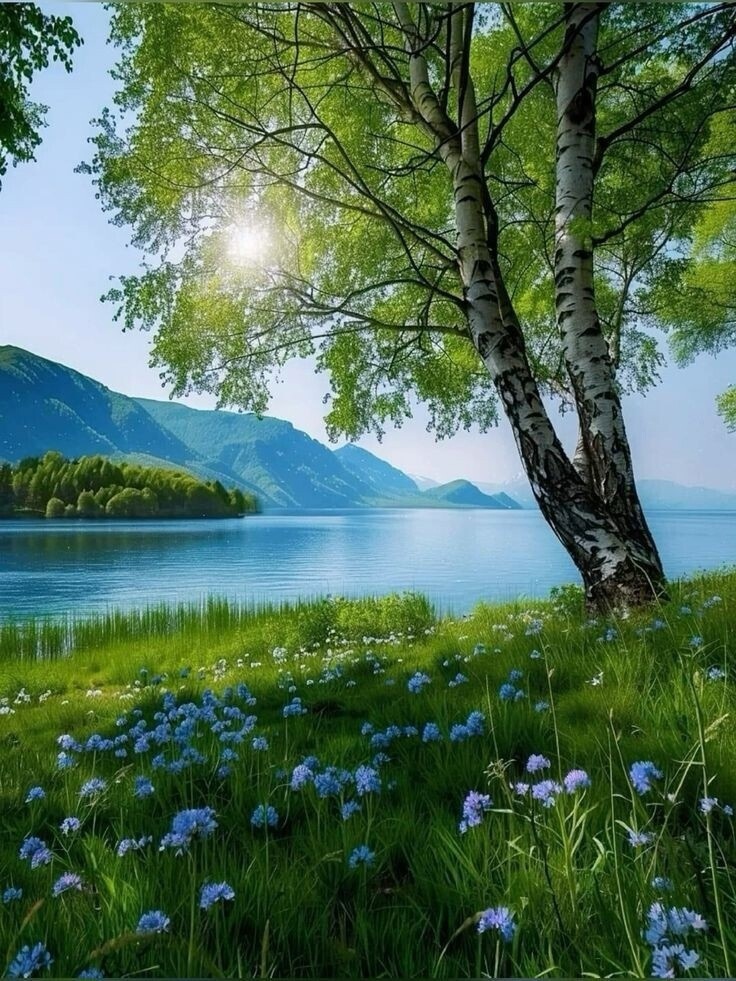 https://upforme.ru/uploads/001b/e5/71/3/188569.jpg