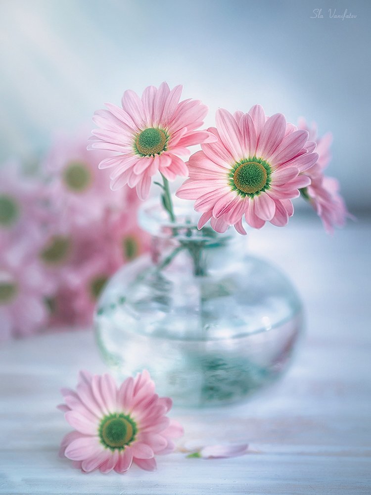 https://upforme.ru/uploads/001b/e5/71/3/194131.jpg