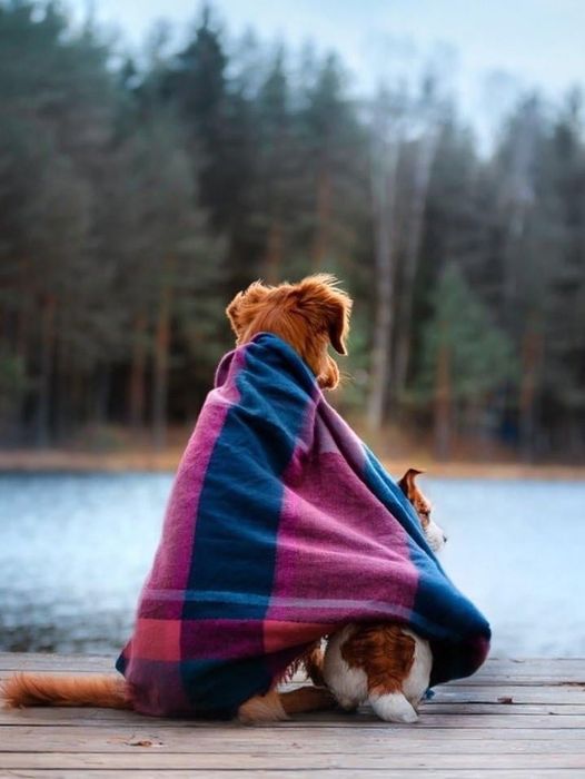 https://upforme.ru/uploads/001b/e5/71/3/275278.jpg
