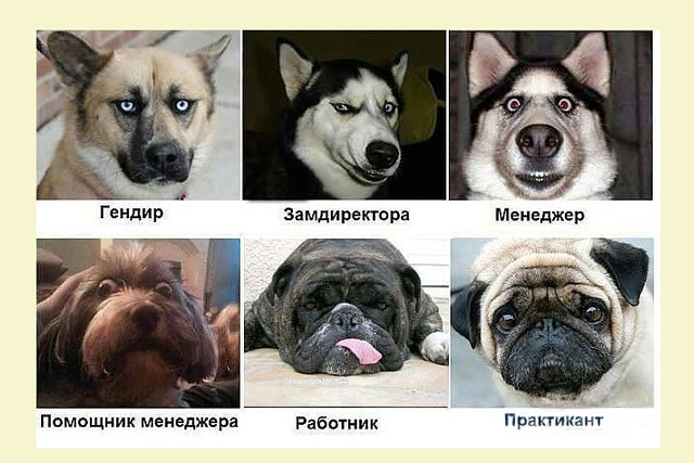 https://upforme.ru/uploads/001b/e5/71/3/356151.jpg