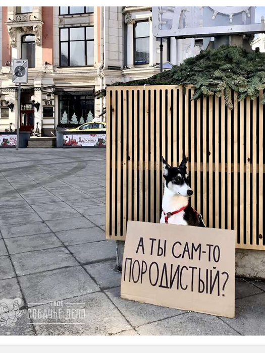 https://upforme.ru/uploads/001b/e5/71/3/365129.png