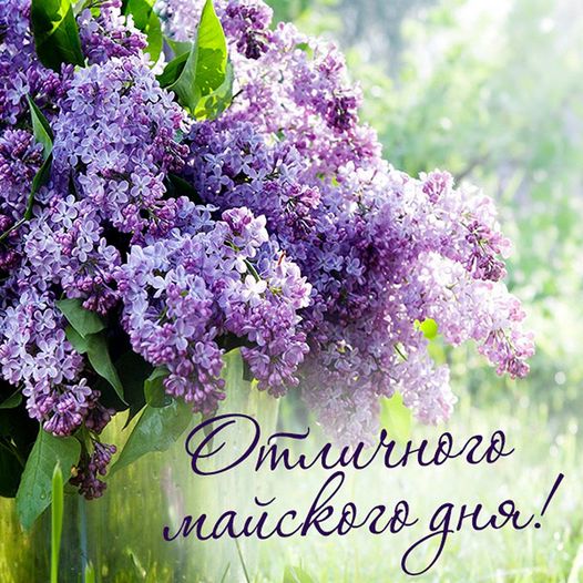 https://upforme.ru/uploads/001b/e5/71/3/367404.jpg