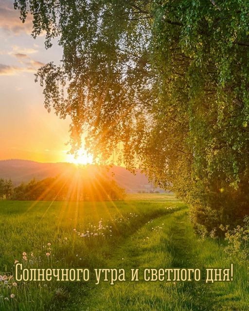 https://upforme.ru/uploads/001b/e5/71/3/380500.jpg