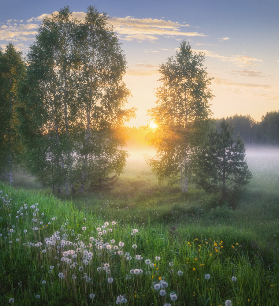 https://upforme.ru/uploads/001b/e5/71/3/392459.jpg