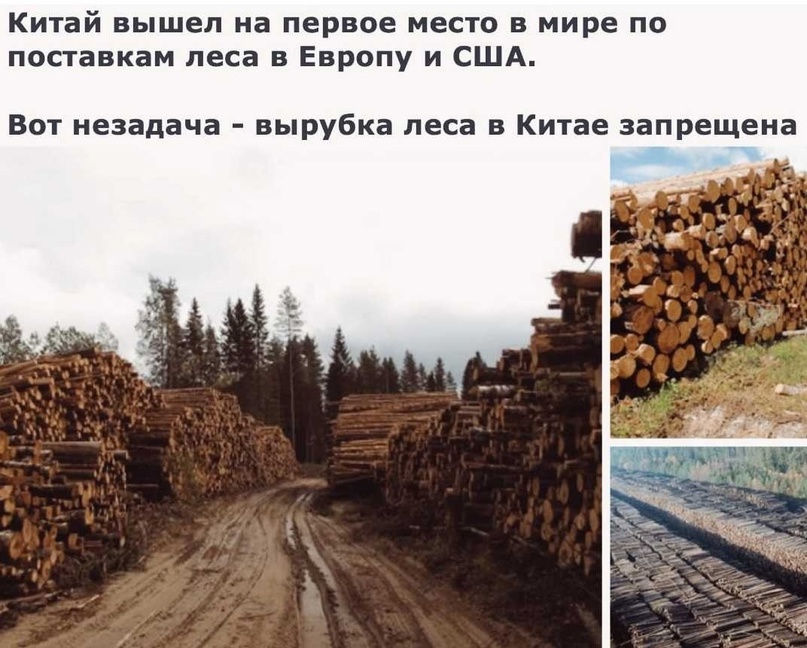https://upforme.ru/uploads/001b/e5/71/3/450360.jpg