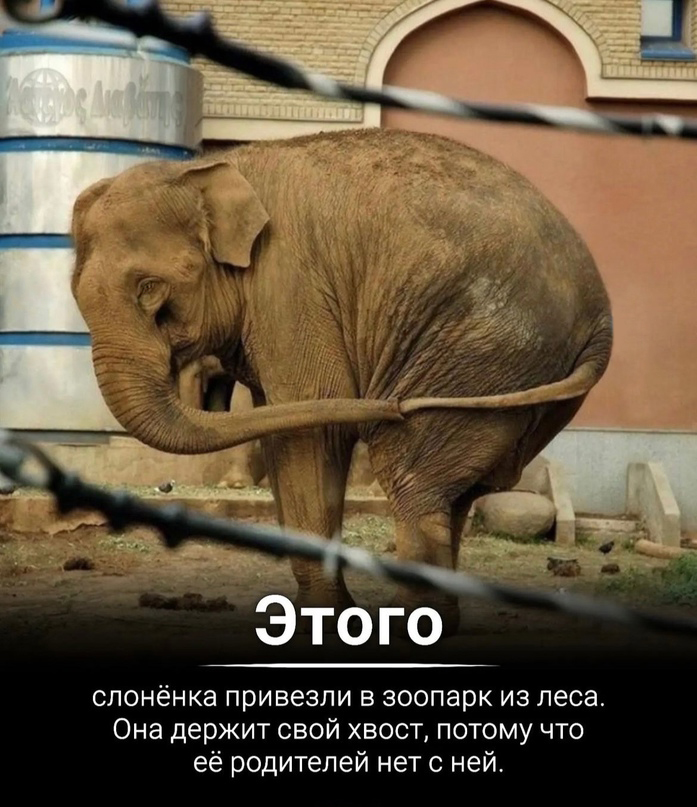 https://upforme.ru/uploads/001b/e5/71/3/46639.jpg