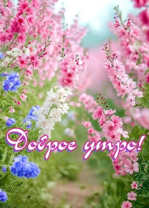https://upforme.ru/uploads/001b/e5/71/3/473429.jpg