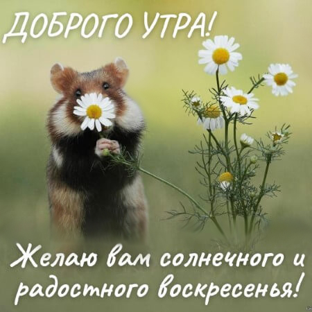 https://upforme.ru/uploads/001b/e5/71/3/474928.jpg