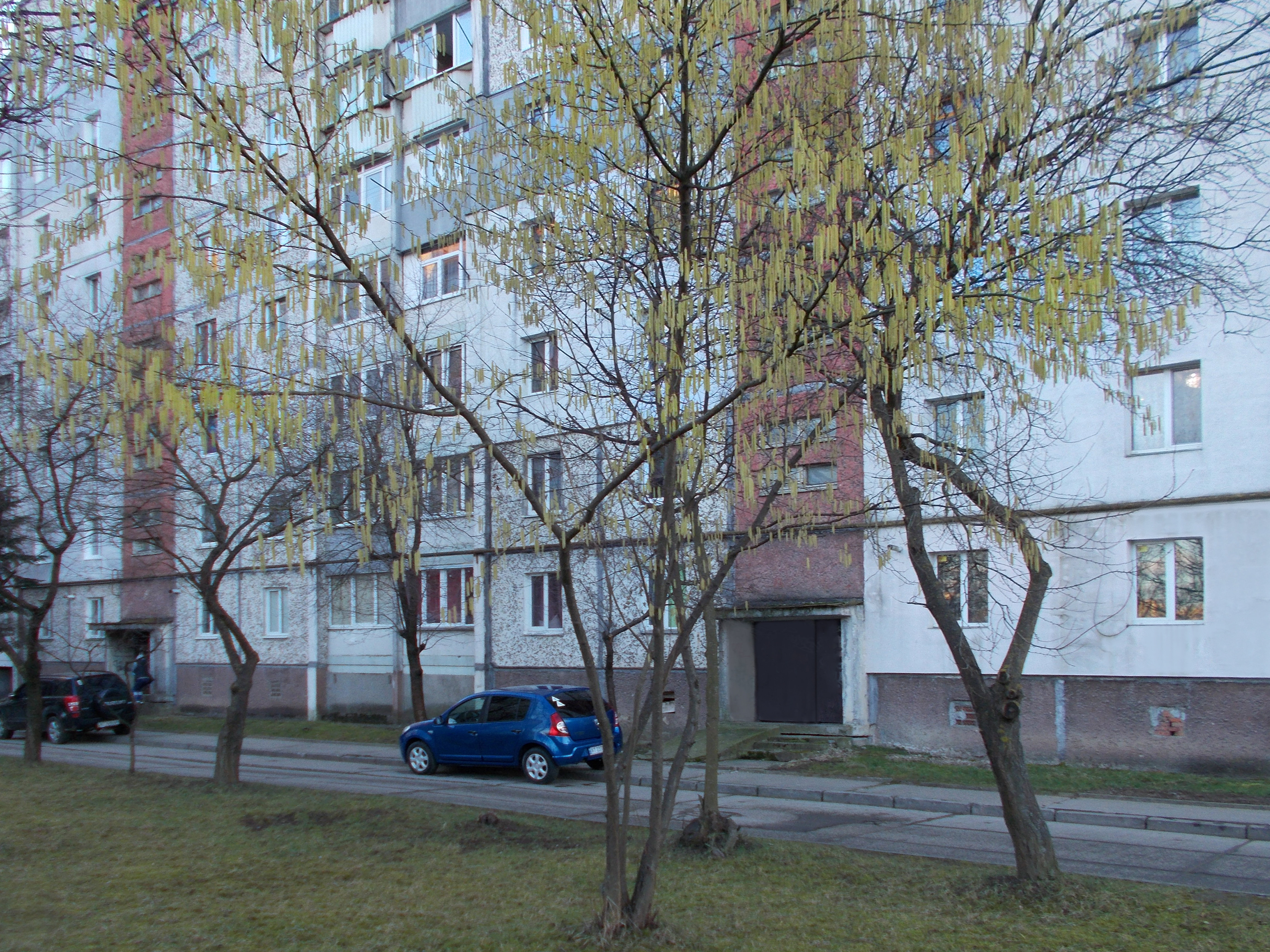 https://upforme.ru/uploads/001b/e5/71/3/497002.jpg