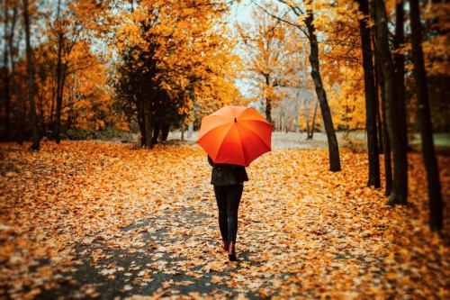 https://upforme.ru/uploads/001b/e5/71/3/508925.jpg