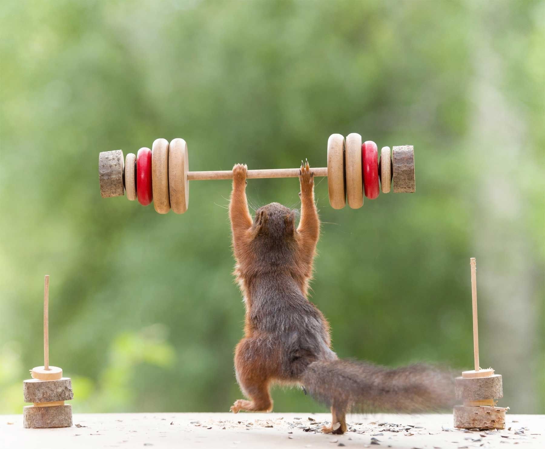 https://upforme.ru/uploads/001b/e5/71/3/537509.jpg