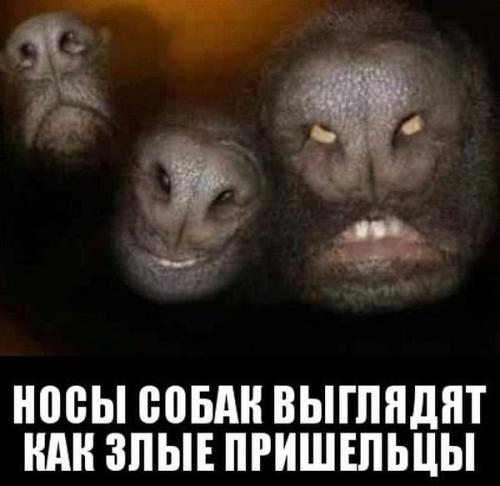 https://upforme.ru/uploads/001b/e5/71/3/568686.jpg