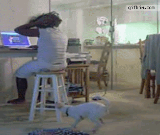 https://upforme.ru/uploads/001b/e5/71/3/581949.gif