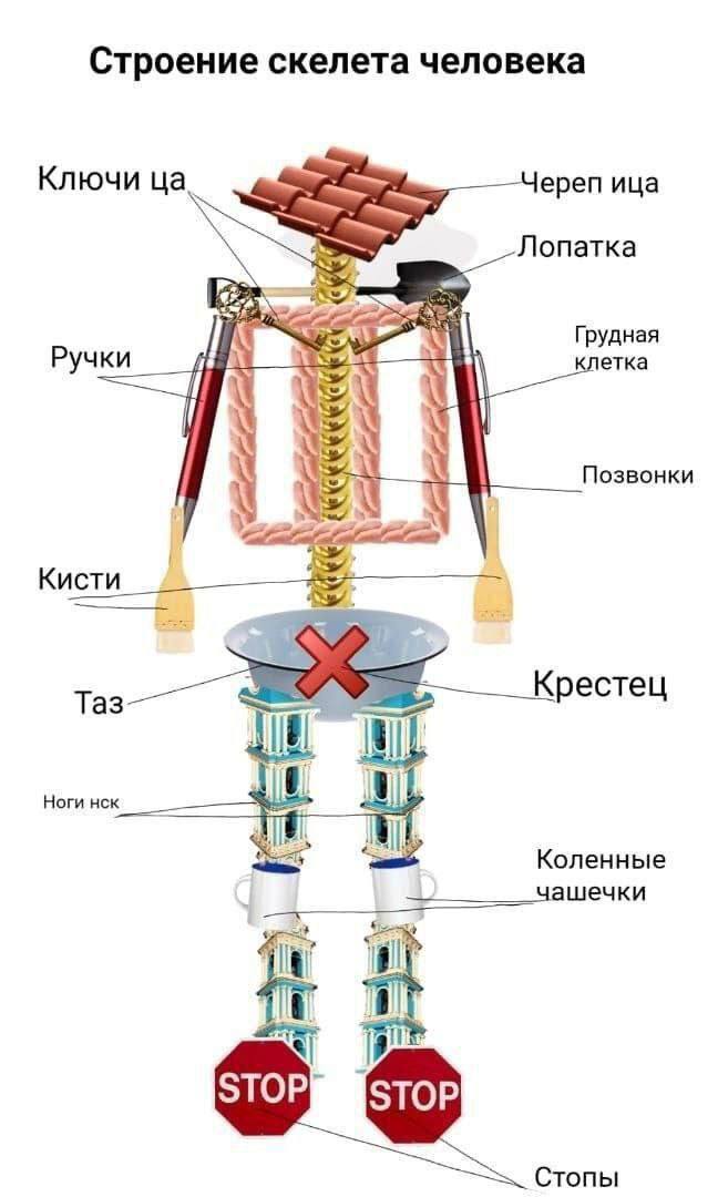 https://upforme.ru/uploads/001b/e5/71/3/613432.jpg