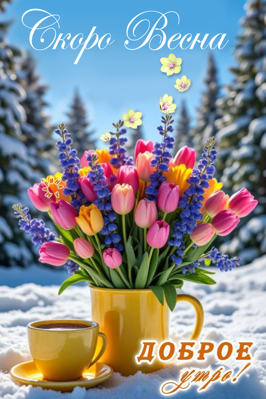 https://upforme.ru/uploads/001b/e5/71/3/621578.jpg