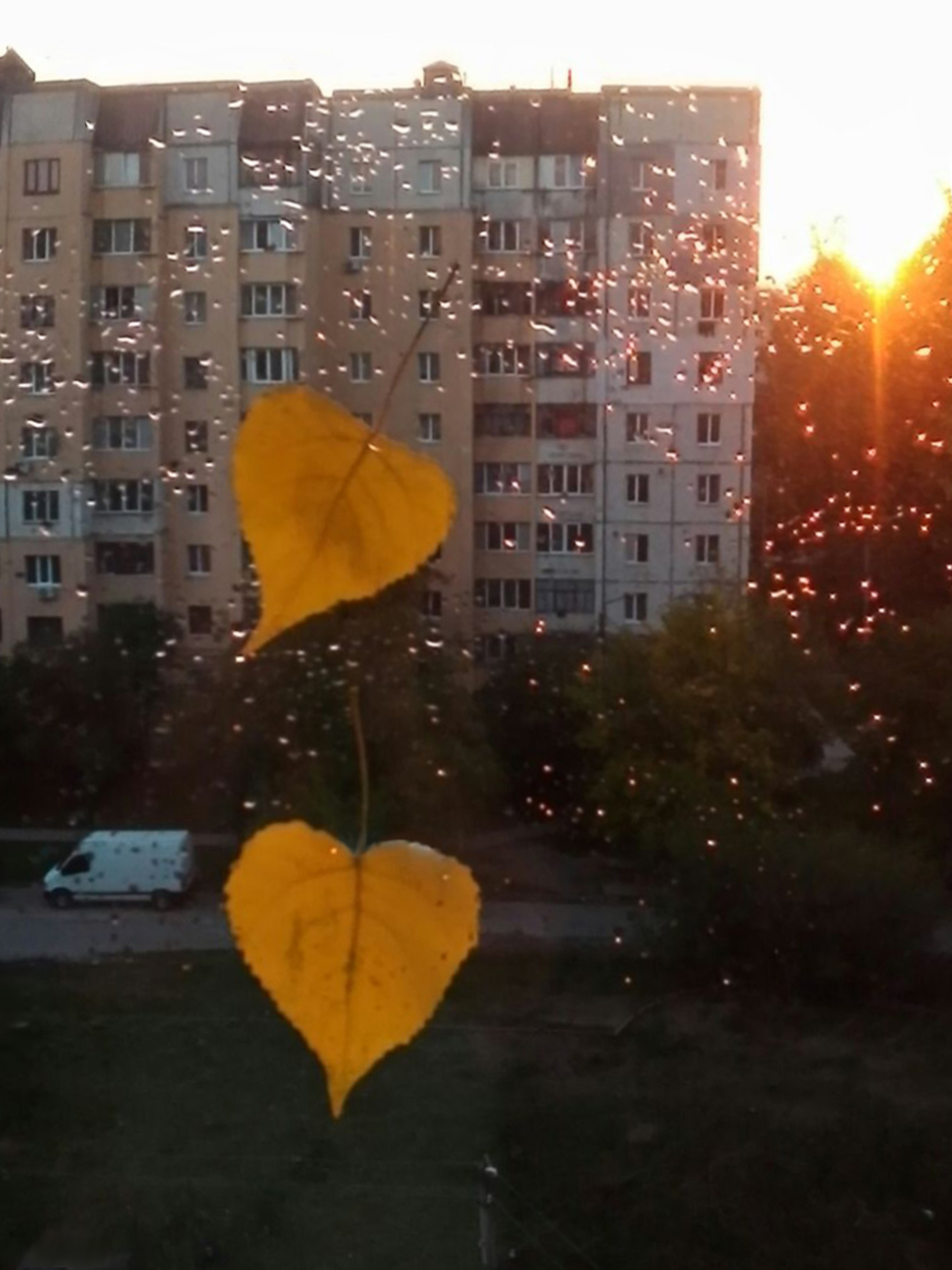 https://upforme.ru/uploads/001b/e5/71/3/623061.jpg