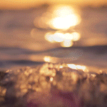 https://upforme.ru/uploads/001b/e5/71/3/633882.gif