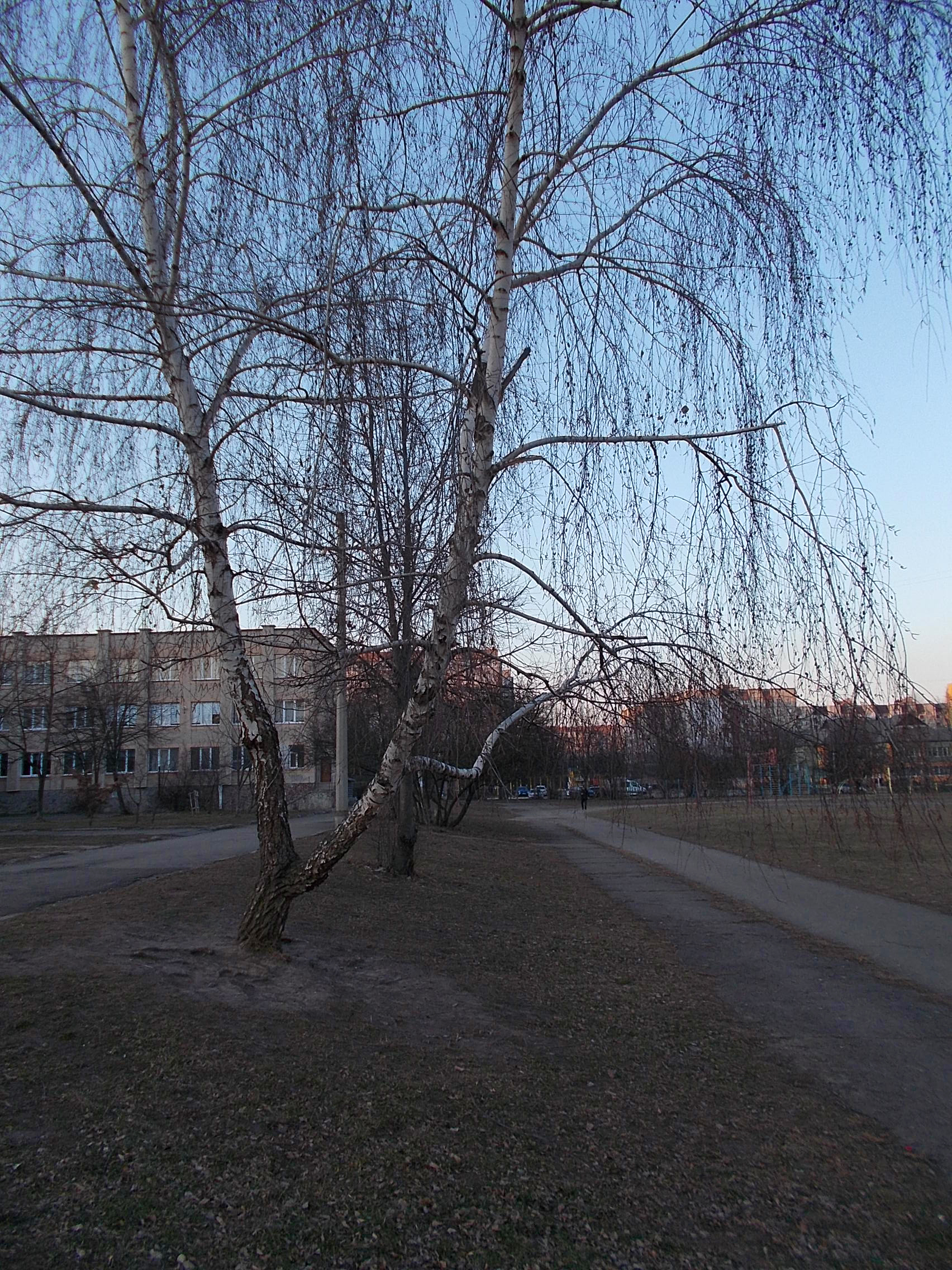 https://upforme.ru/uploads/001b/e5/71/3/635382.jpg