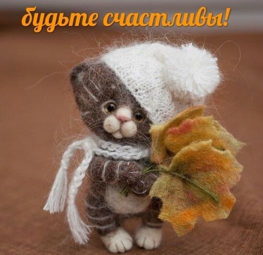 https://upforme.ru/uploads/001b/e5/71/3/641104.jpg