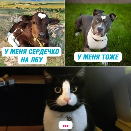 https://upforme.ru/uploads/001b/e5/71/3/657937.webp