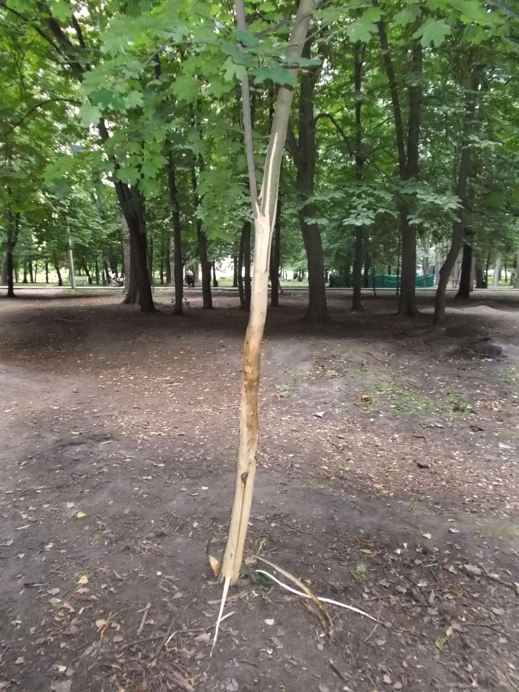 https://upforme.ru/uploads/001b/e5/71/3/668032.jpg