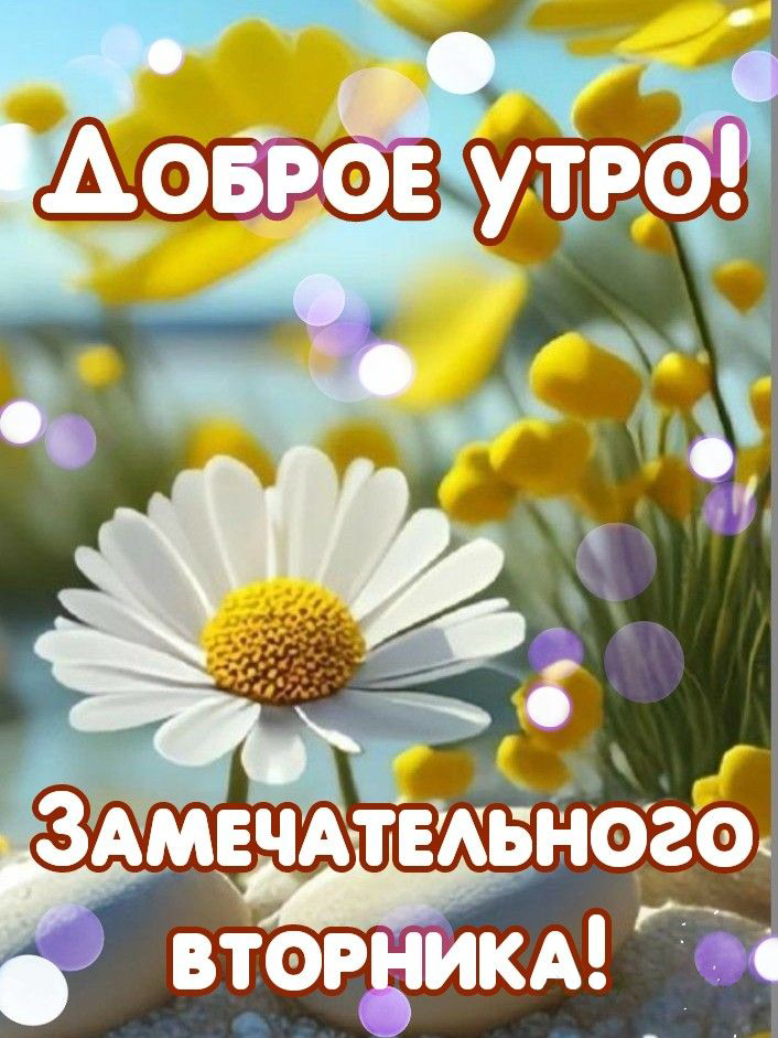 https://upforme.ru/uploads/001b/e5/71/3/668799.jpg