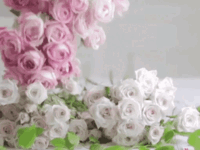 https://upforme.ru/uploads/001b/e5/71/3/696266.gif