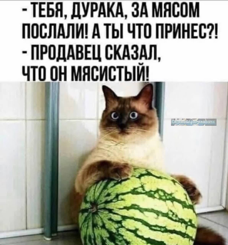https://upforme.ru/uploads/001b/e5/71/3/699892.jpg