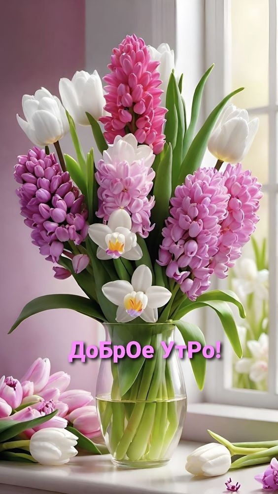 https://upforme.ru/uploads/001b/e5/71/3/709981.jpg